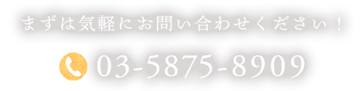 03-5875-8909